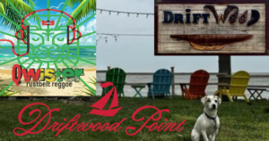 Qwister Ryan Melquist Rustbelt Reggae PartyRock Geneva OH Driftwood Point Beach Bar